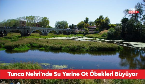 Tunca Nehri'nde kuraklık nedeniyle su akışının durduğu alanlar ot öbekleriyle