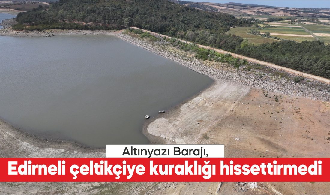 Kış aylarında Meriç Nehri'nden basılan suyla doldurulan Edirne'nin Uzunköprü ilçesindeki