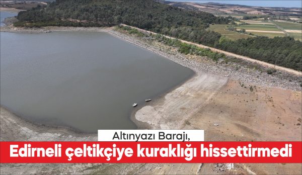 Kış aylarında Meriç Nehri'nden basılan suyla doldurulan Edirne'nin Uzunköprü ilçesindeki