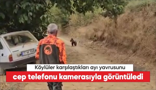 Çanakkale'de tarlada çalışan köylüler ayı yavrusunu cep telefonu kamerasıyla görüntüledi.
