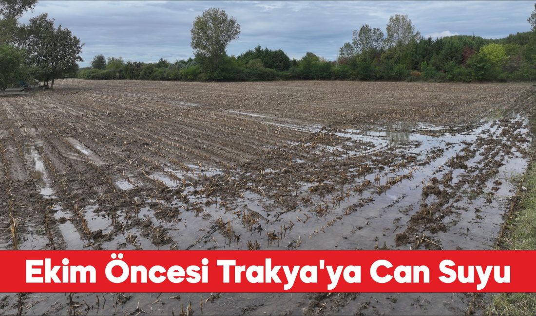 Geçen yıl kuru toprağa ekim yapan Trakya çiftçisi son yağışlarla