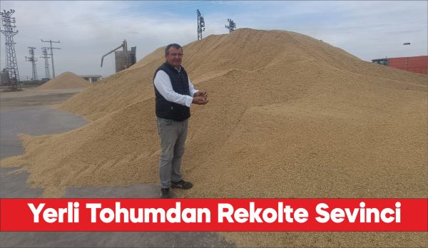İpsala'da çeltik üreticileri yerli tohumla yüksek verim elde etti