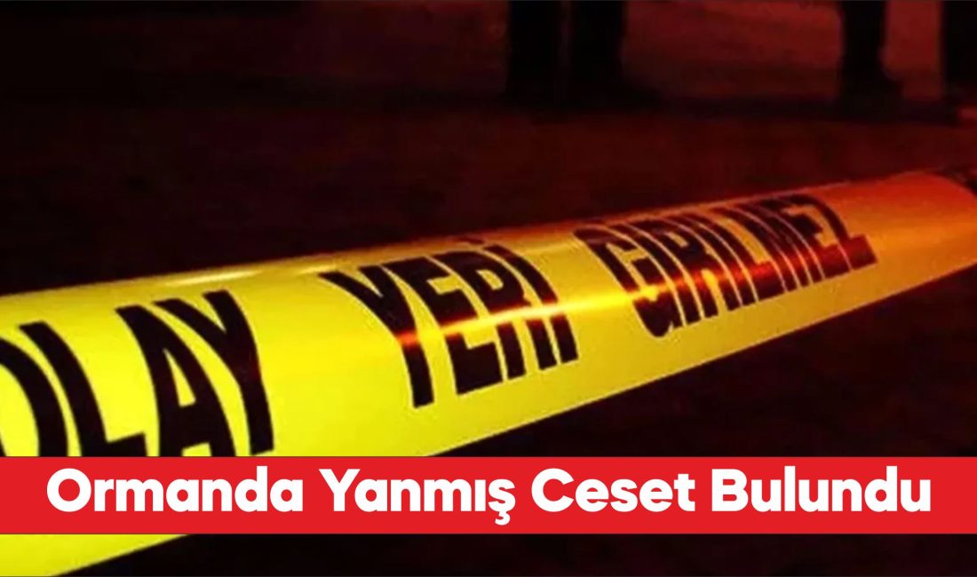 Çanakkale'de ormanda yanmış halde ceset bulundu