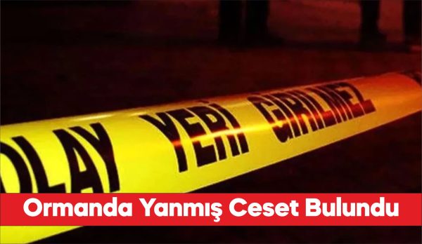 Çanakkale'de ormanda yanmış halde ceset bulundu