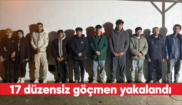 Edirne'nin Uzunköprü ilçesinde  yasal olmayan yollarla yurda giren 17