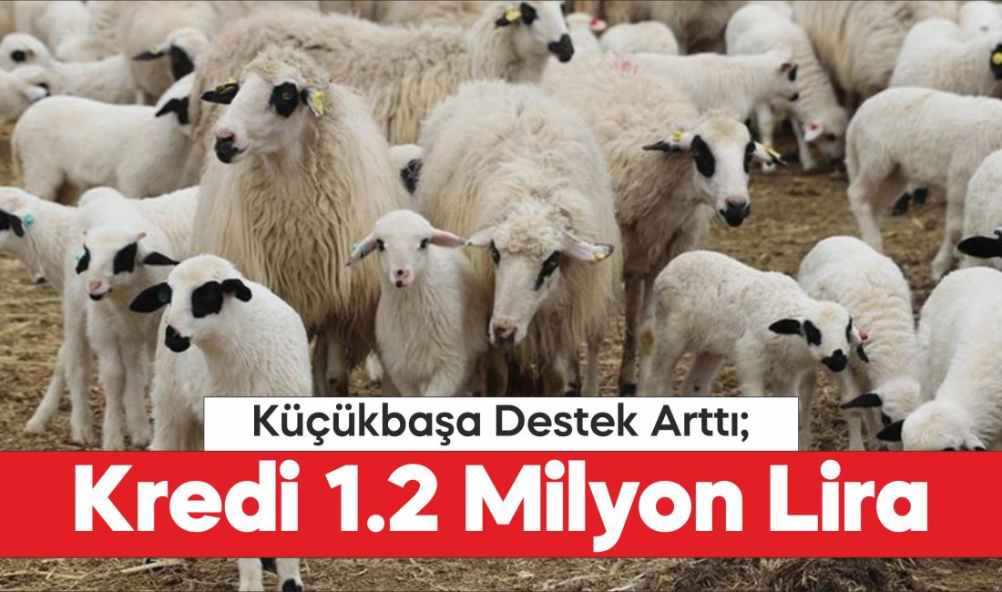 Edirne’de küçükbaş hayvancılığa verilen destek artırıldı.