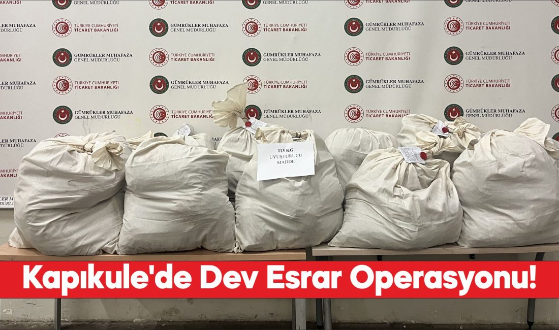 Kapıkule'de tır dorsesine gizlenmiş 113 kilo 664 gram esrar ele