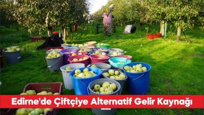 Edirne'de devlet desteğiyle yaygınlaşan meyve bahçeleri çiftçilere alternatif gelir kaynağı