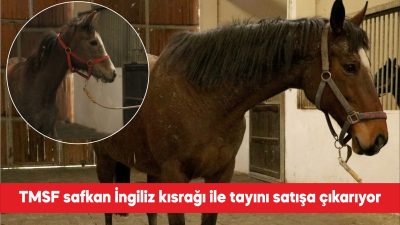 Tasarruf Mevduatı Sigorta Fonu (TMSF), İstanbul Büyükşehir Belediyesine (İBB) yönelik