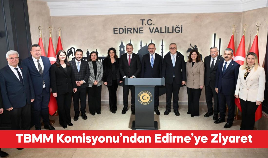 TBMM Engelli Bireylerin Sorunlarını Araştırma