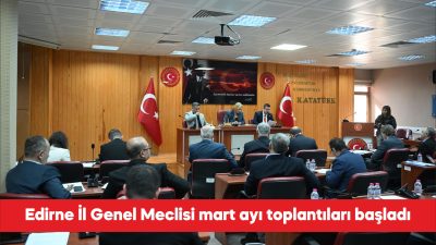 Edirne İl Genel Meclisi mart ayı toplantıları Çiğdem Gegeoğlu başkanlığında