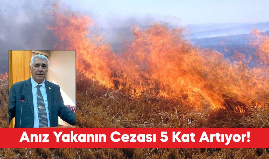 Edirne İl Genel Meclisi Tarım ve Hayvancılık Komisyonu Başkanı Remzi