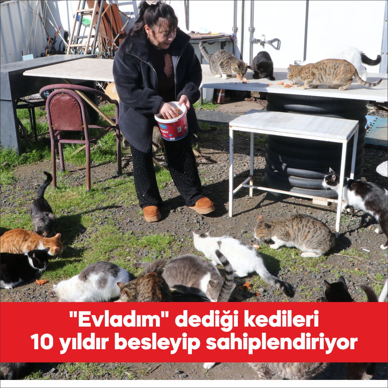 Tekirdağ’da yaşayan 35 yaşındaki Selma Demir, 10 yıldır sokak kedilerini
