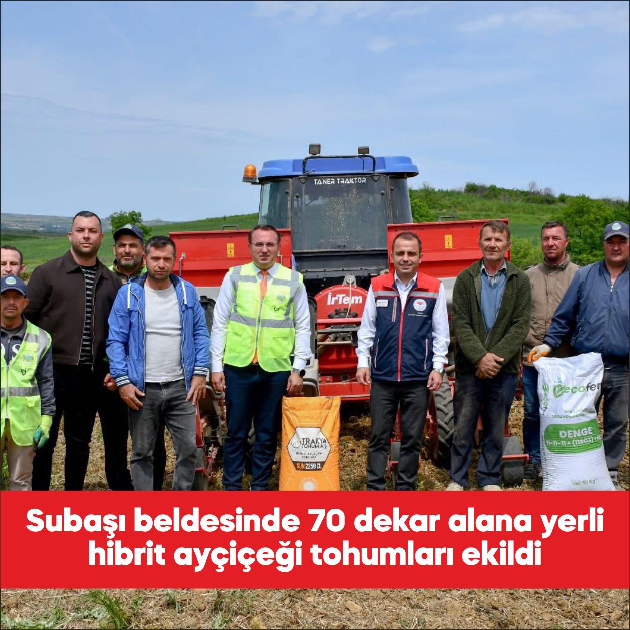 Subaşı Belediyesince hazineden kiralanan 70 dekar alana yerli hibrit ayçiçeği
