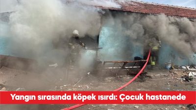 Tekirdağ’ın Çorlu ilçesinde çıkan ev yangını sırasında köpeğin ısırdığı 11