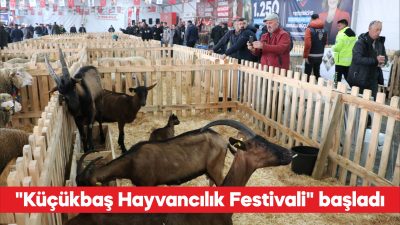 Tekirdağ Damızlık Koyun Keçi Yetiştiricileri Birliği, Tekirdağ Büyükşehir Belediyesi ile