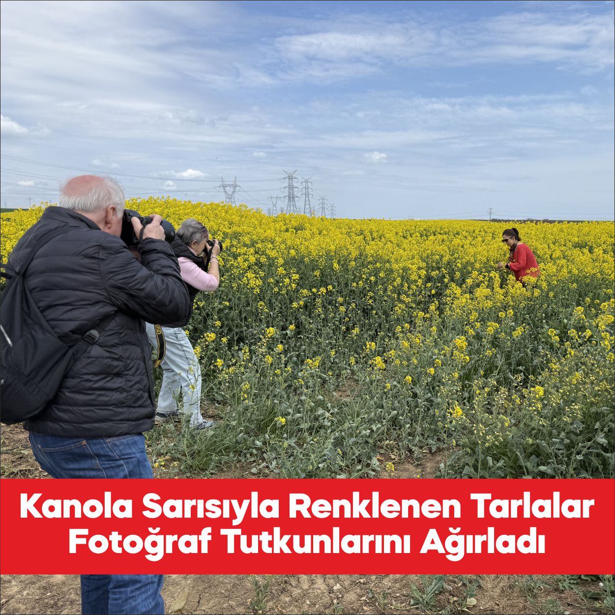 Tekirdağ İl Kültür ve Turizm Müdürlüğünce, kenti sarıya bürüyen kanola