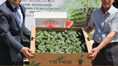 Edirne’de, Bitkisel Üretim Genel Müdürlüğünün “Tarım Arazilerinin Kullanımının Etkinleştirilmesi” Projesi