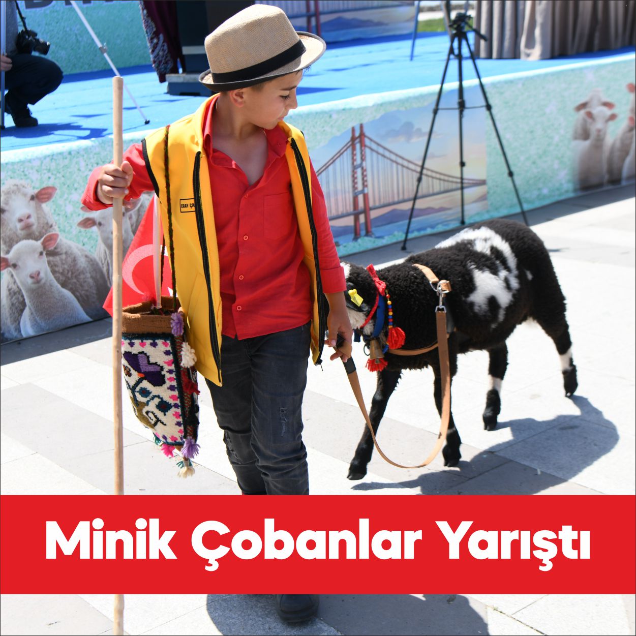 Çanakkale’nin Lapseki ilçesinde çocuklar tarafından bakımları üstlenilen oğlak ve kuzular