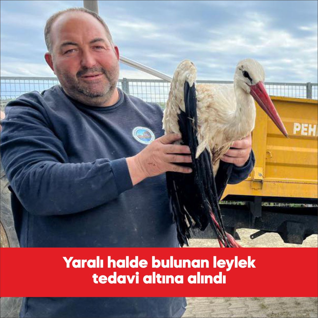 Pehlivanköy ilçesinde yaralı halde bulunan leylek tedavi altına alındı. Pehlivanköy
