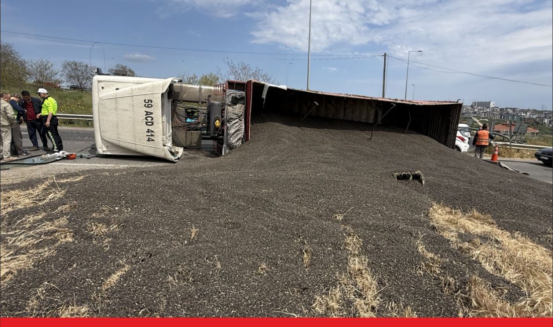 Tekirdağ’da devrilen ayçiçeği yüklü tır, Tekirdağ-Muratlı kara yolunda ulaşımın aksamasına
