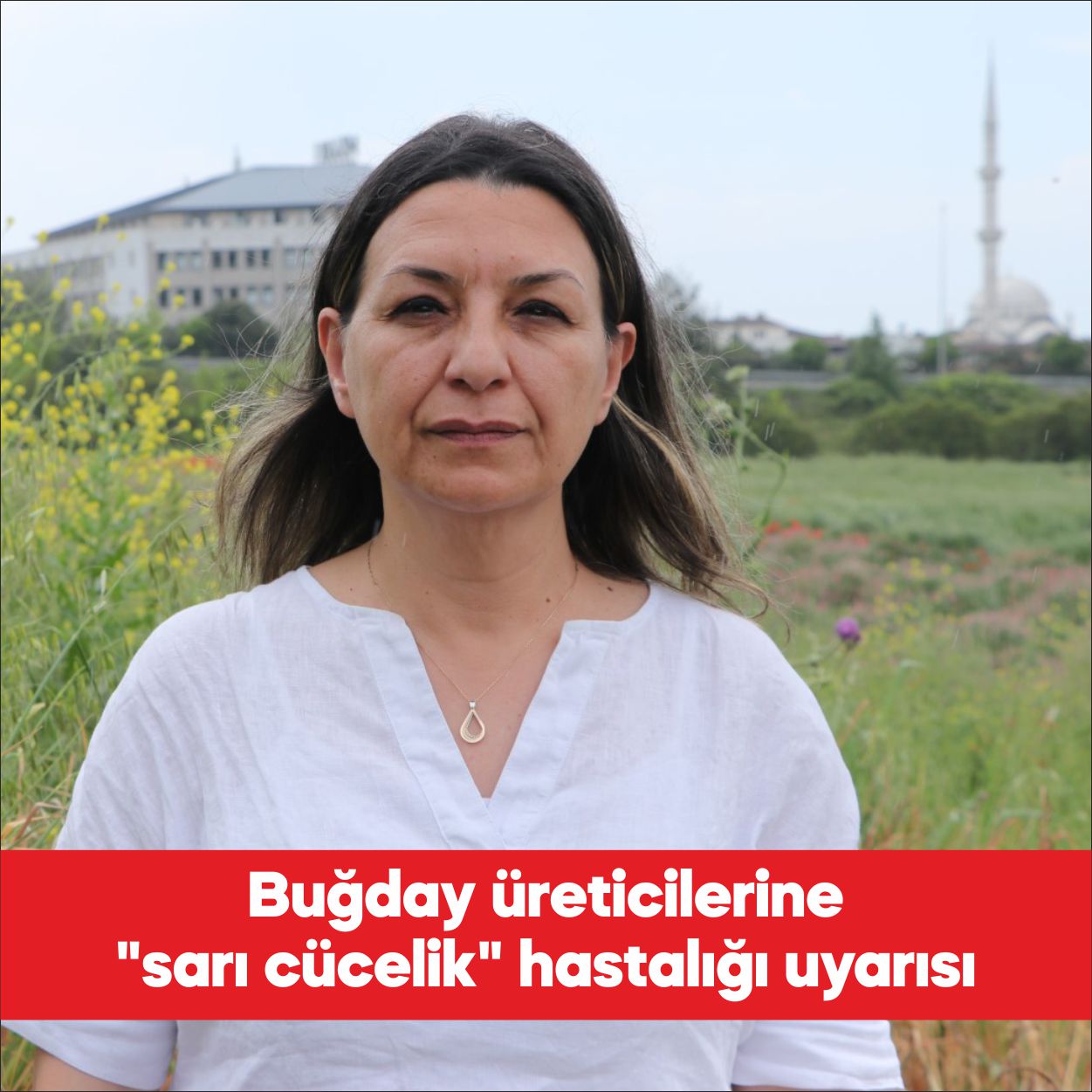 Tekirdağ Namık Kemal Üniversitesi (NKÜ) Ziraat Fakültesi Bitki Koruma Bölümü