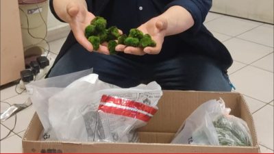Kapıkule’de yolcu otobüsünde yurda kaçak yollarla sokulmak istenen 2 bin