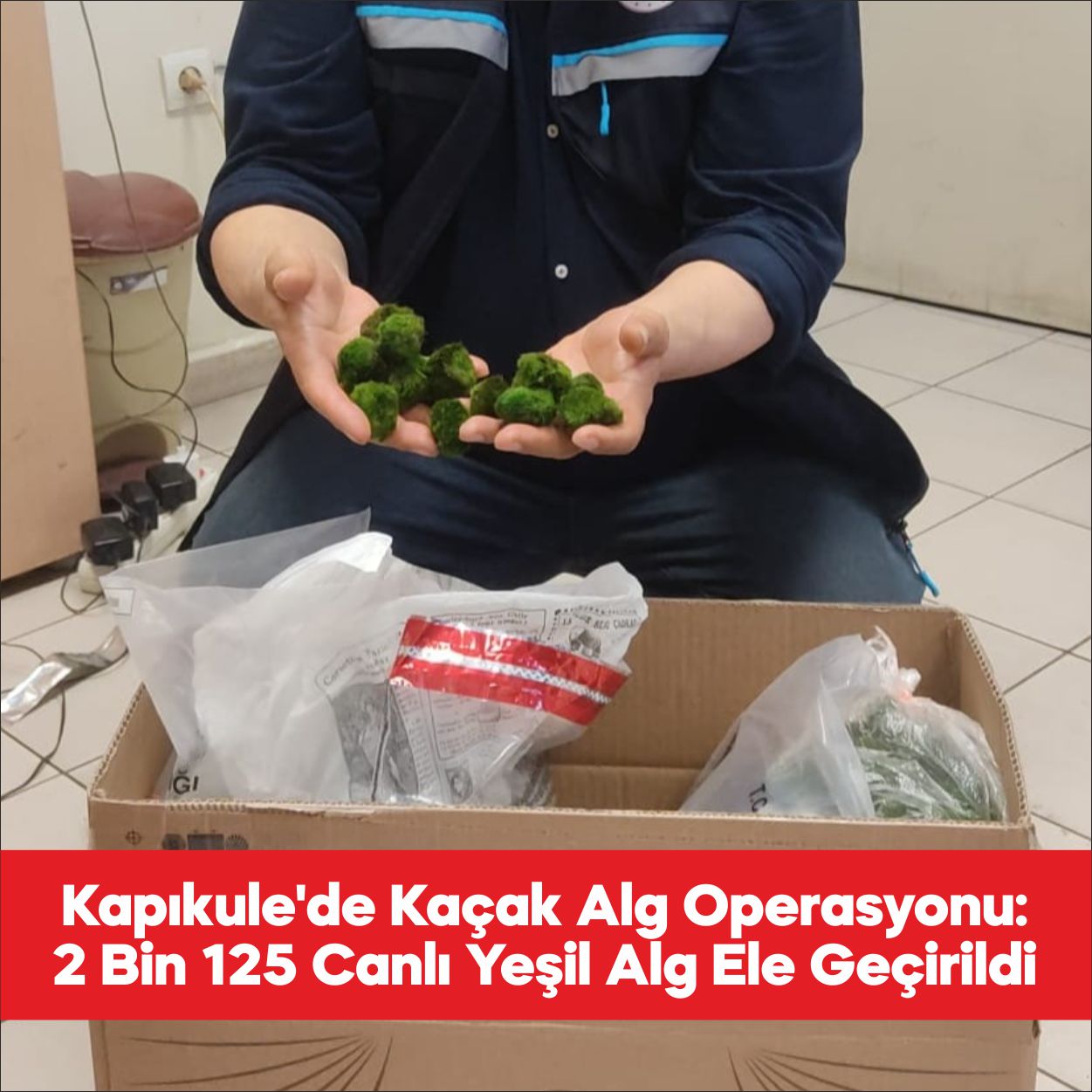 Kapıkule’de yolcu otobüsünde yurda kaçak yollarla sokulmak istenen 2 bin
