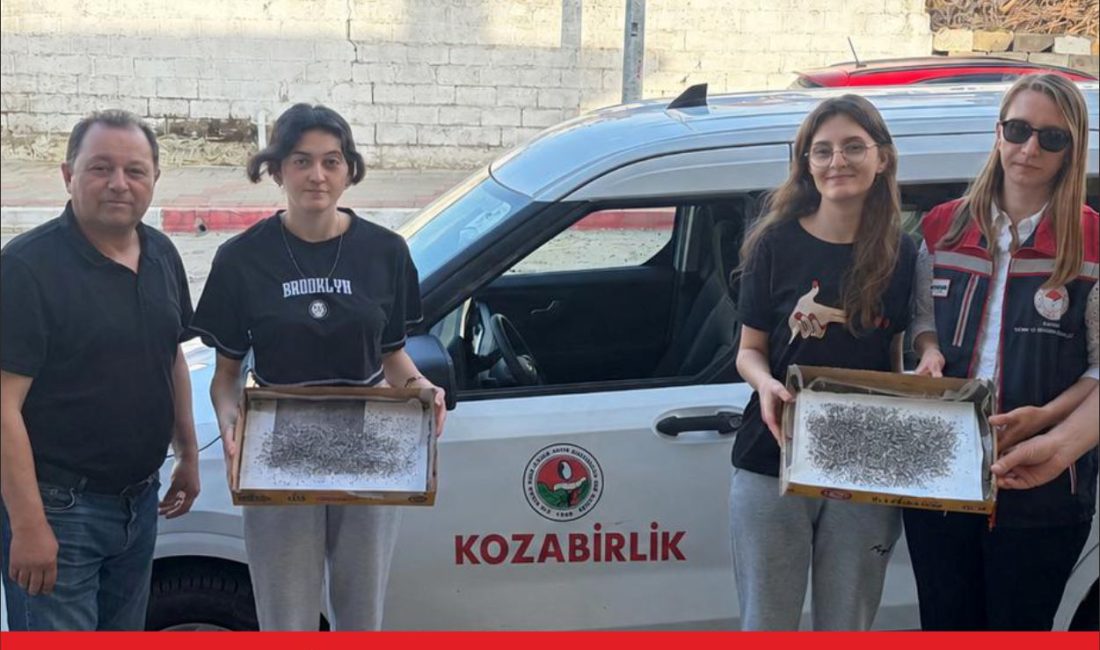 Edirne’de İpek Böcekçiliğini Yaygınlaştırma Projesi kapsamında üreticilere ipek böceği larvaları
