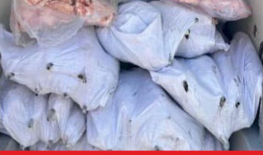 Tekirdağ’ın Ergene ilçesinde menşei belirsiz ve sağlıksız olduğu belirlenen 1500