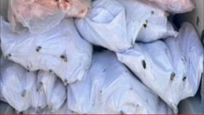 Tekirdağ’ın Ergene ilçesinde menşei belirsiz ve sağlıksız olduğu belirlenen 1500