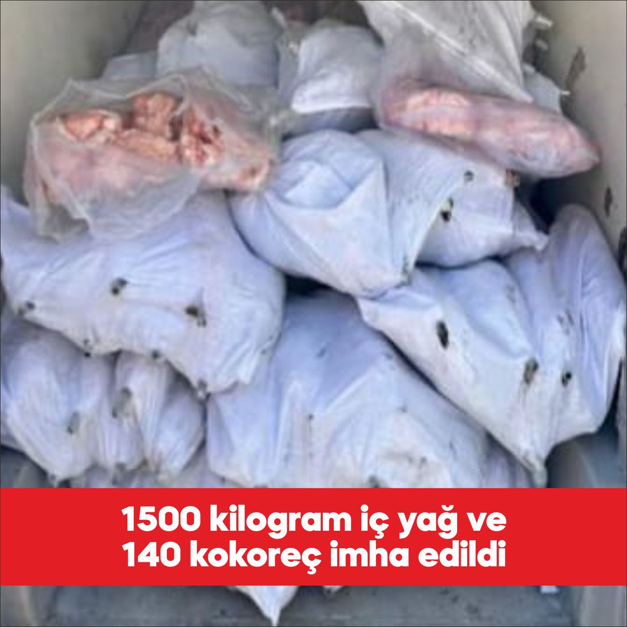 Tekirdağ’ın Ergene ilçesinde menşei belirsiz ve sağlıksız olduğu belirlenen 1500