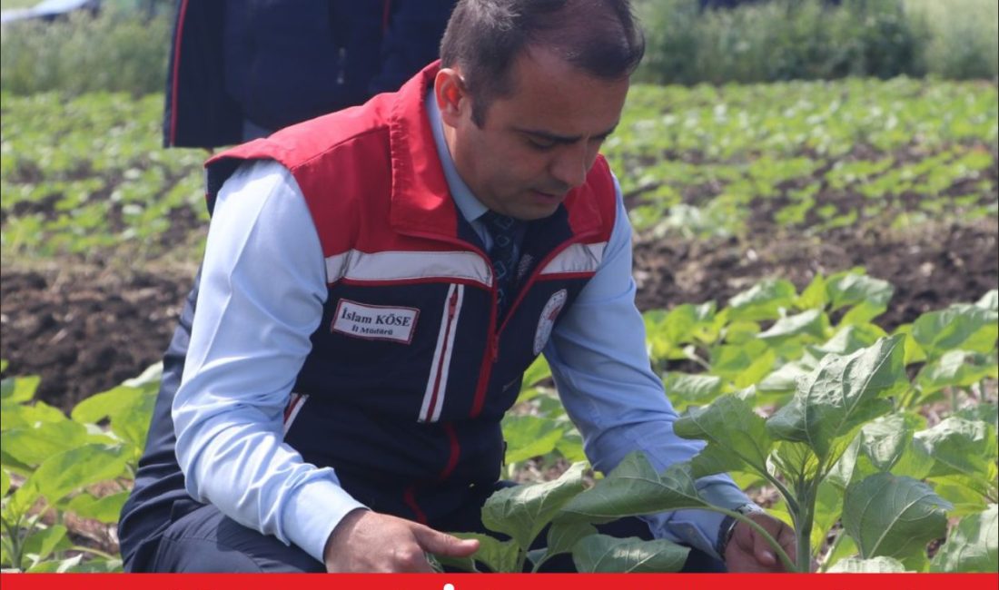 Edirne İl Tarım ve Orman Müdürlüğü ile Tekirdağ Namık Kemal