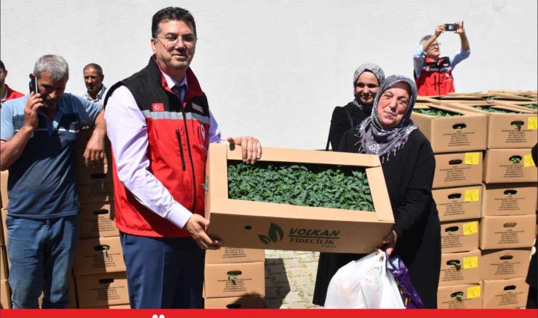 Tekirdağ’ın Şarköy ilçesinde üreticilere yüzde 75 hibeli yazlık sebze fidesi