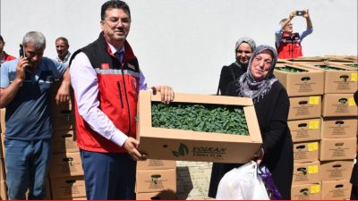 Tekirdağ’ın Şarköy ilçesinde üreticilere yüzde 75 hibeli yazlık sebze fidesi