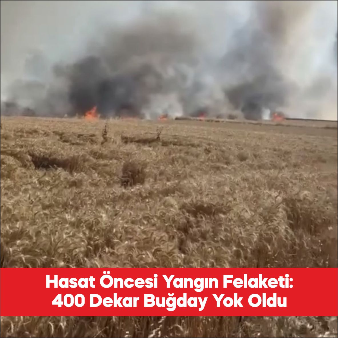 Tekirdağ’ın Hayrabolu ilçesinde çıkan yangında 400 dekar buğday ekili alan