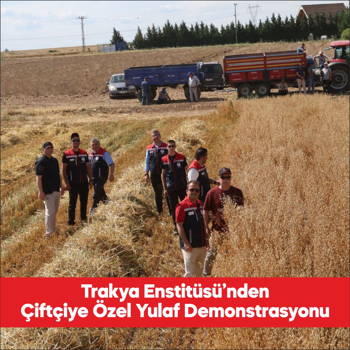 Edirne’de, Trakya Tarımsal Araştırma Enstitüsünce geliştirilen yulaf çeşitlerinin hasadı yapıldı.