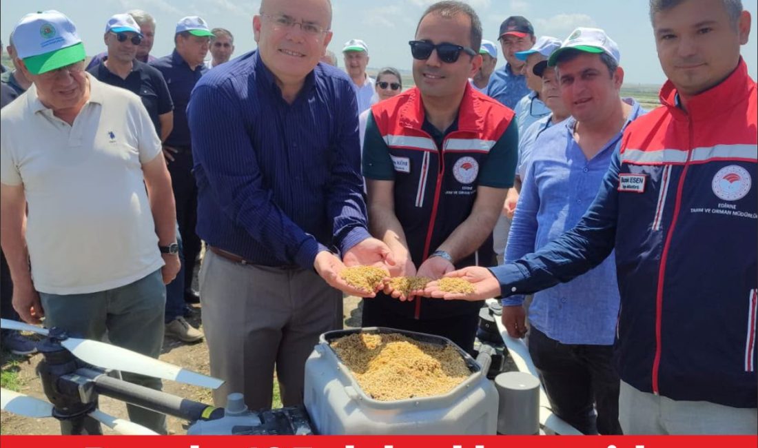 Edirne’nin Uzunköprü ilçesinde dronla çeltik ekimi yapıldı. Ergene Ovası’nda yer