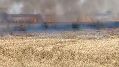Edirne’nin Uzunköprü ilçesinde buğday ekili tarlada çıkan yangında 50 dekarlık