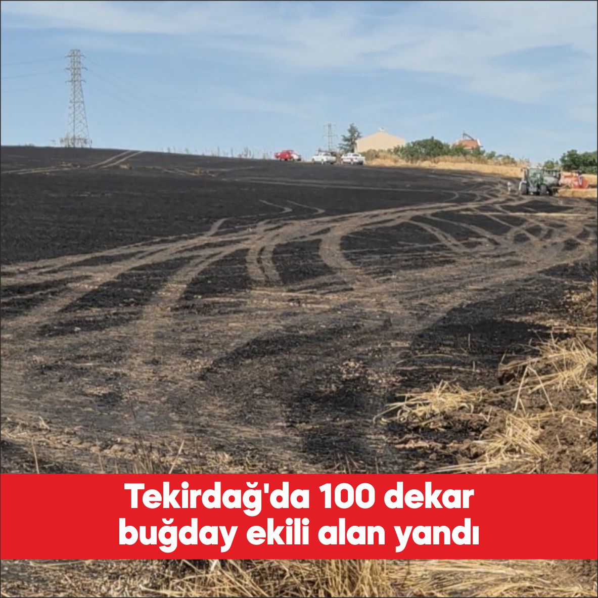 Tekirdağ’da çıkan yangında 100 dekar buğday ekili alan yandı. Karaevli