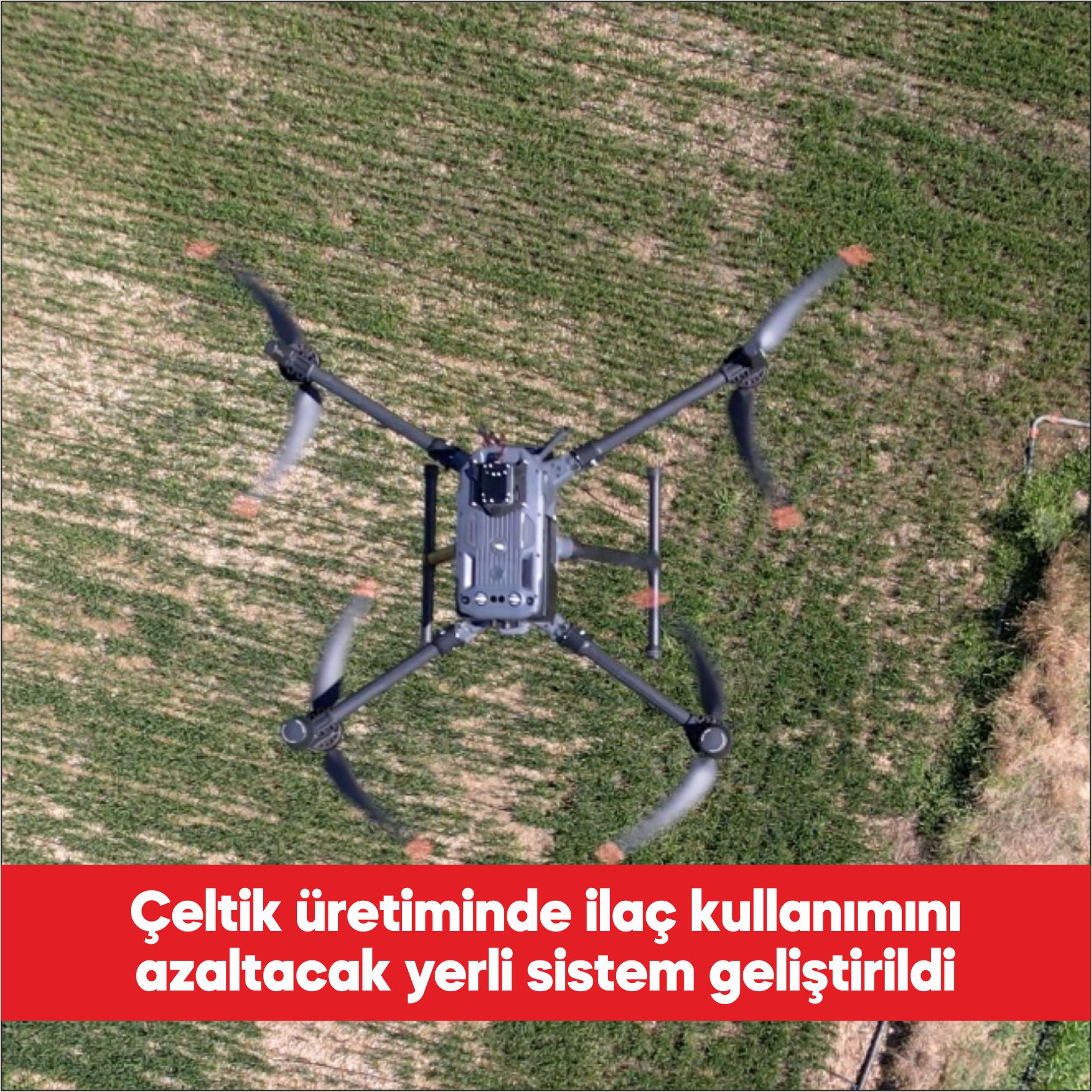Çeltik arazilerindeki yabancı otları yapay zekayla belirleyerek yalnızca ihtiyaç duyulan