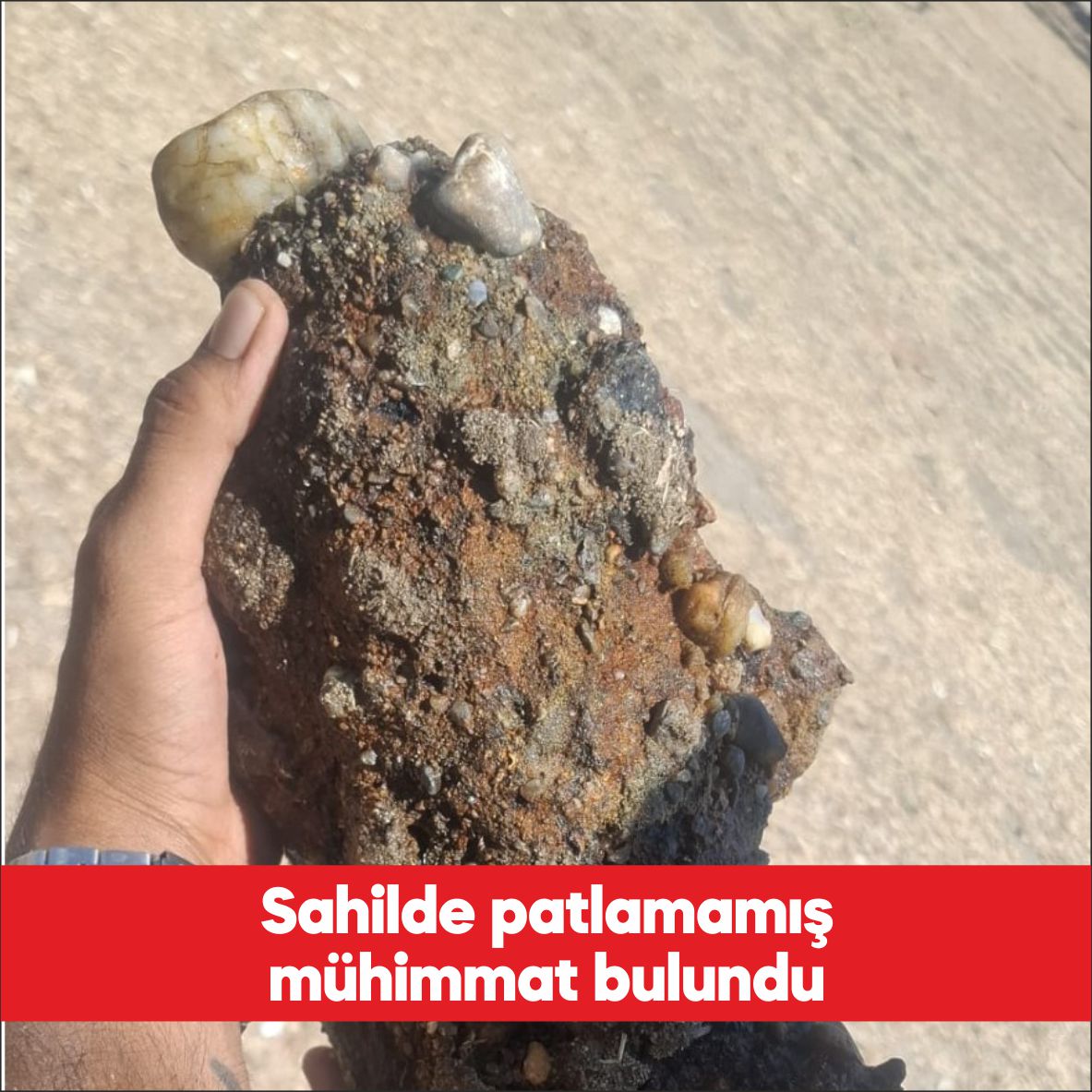 Çanakkale’de sahilde bulunan patlamamış mühimmat sahil güvenlik ekiplerine teslim edildi.