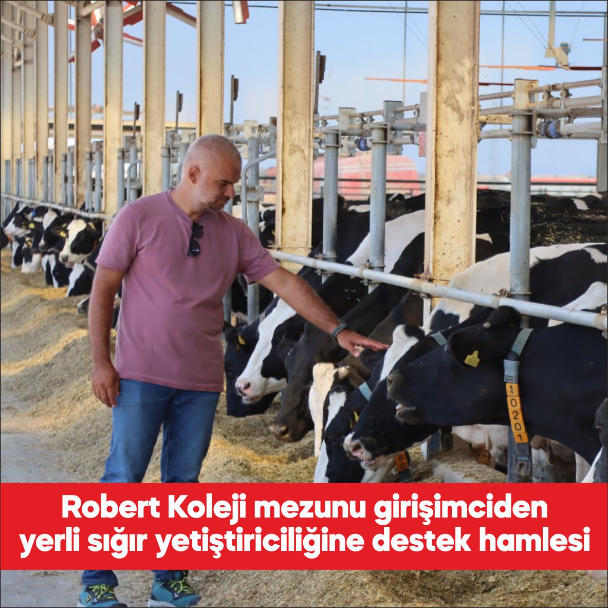 Robert Koleji mezunu girişimci Sinan Kolat, Kırklareli’nde kurduğu çiftlikte yerli