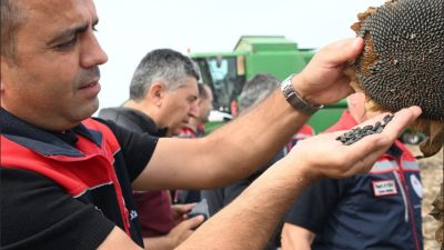 Edirne’de ayçiçeğinin kuraklığa karşı dayanıklılığını ölçmek için farklı dönemlerde 3