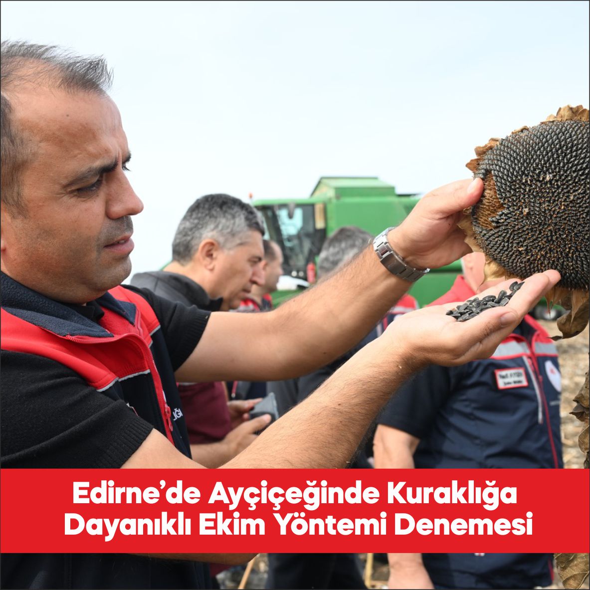 Edirne’de ayçiçeğinin kuraklığa karşı dayanıklılığını