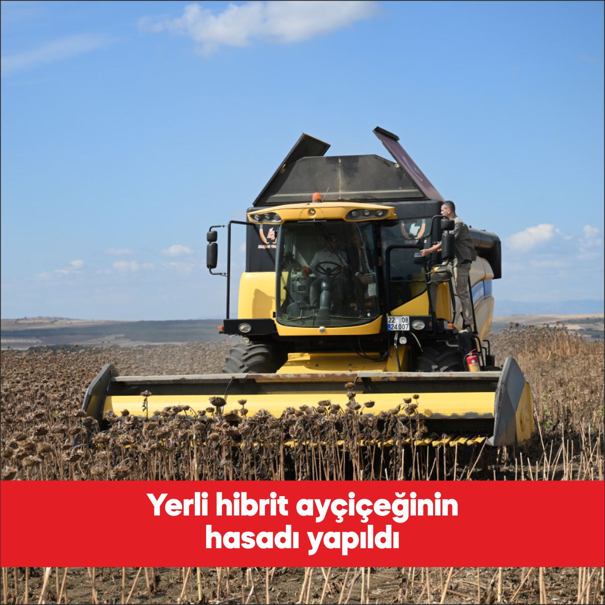 Edirne Valisi Yunus Sezer, yerli hibrit ayçiçeği tohumu üretiminin artırılması